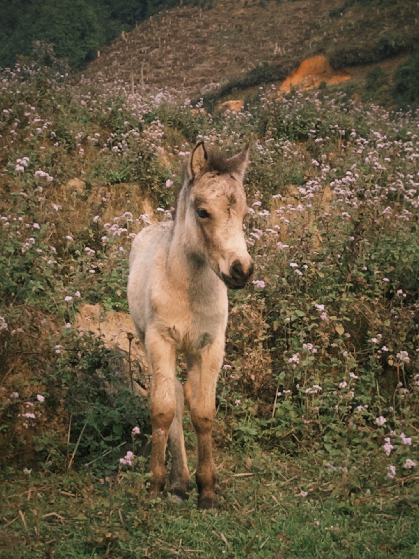 EXPERIENCES ACTIVITIES